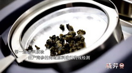 海參,大連海參,曉芹海參,海參加工 海參,大連海參,曉芹海參,海參加工